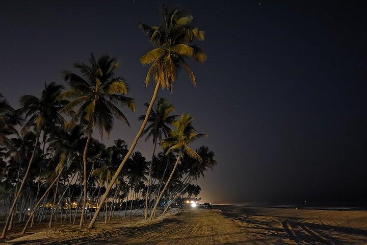 Salalah by Night Tour - Charming Evening in the Garden City