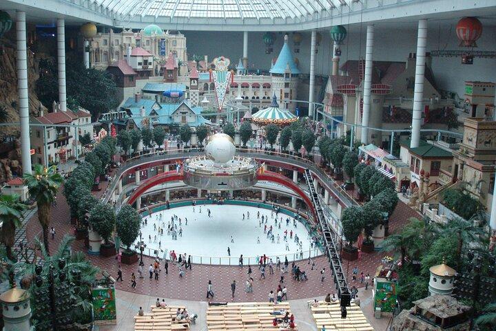 Private tour Lotte World,Tower,Aquarium(All Tickets are included)