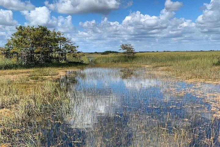Private Everglades Tour: Explore the Beauty of the Everglades