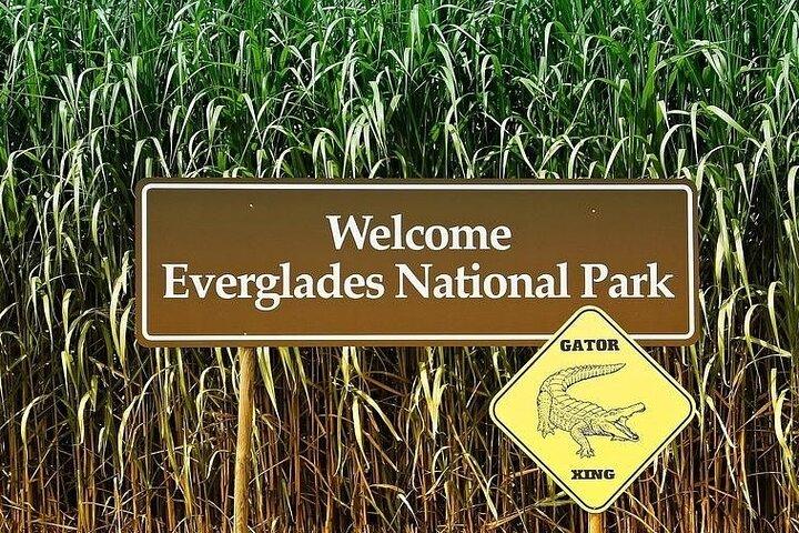 Private Everglades Tour: Explore the Beauty of the Everglades