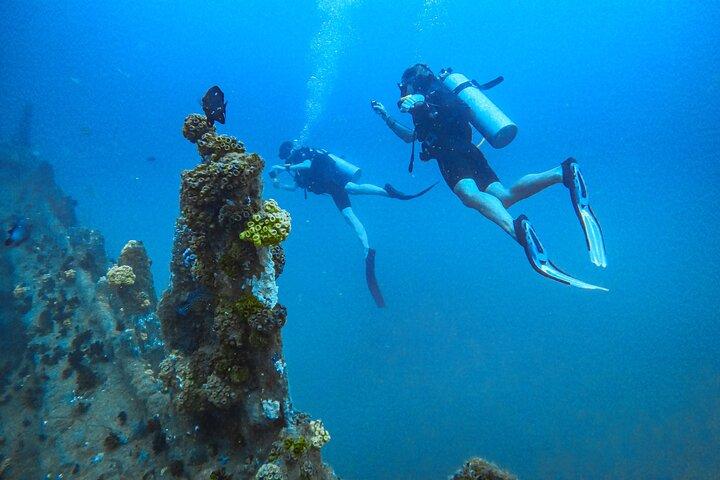 Fun Dives For Certified Divers