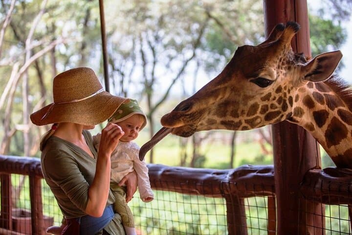 Private Tour To Giraffe Centre in Nairobi