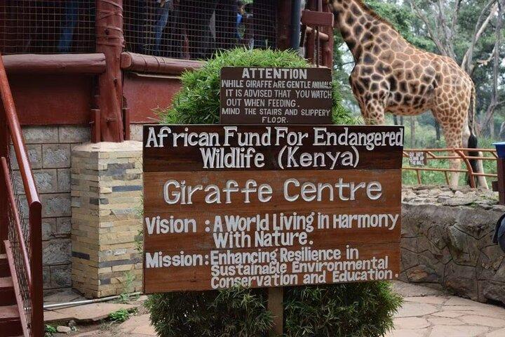 Giraffe Centre and Bomas of Kenya Full-Day Tour from Nairobi
