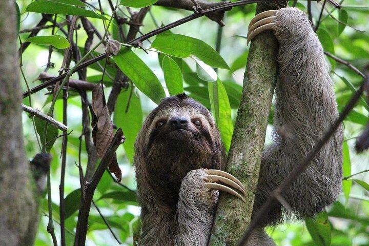 Guanacaste full day: Explore Nature, horse, sloth and waterfalls