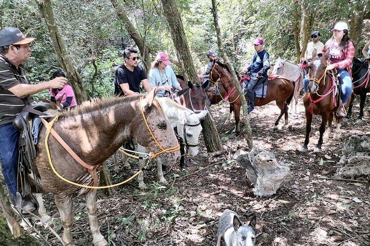 Guanacaste full day: Explore Nature, horse, sloth and waterfalls