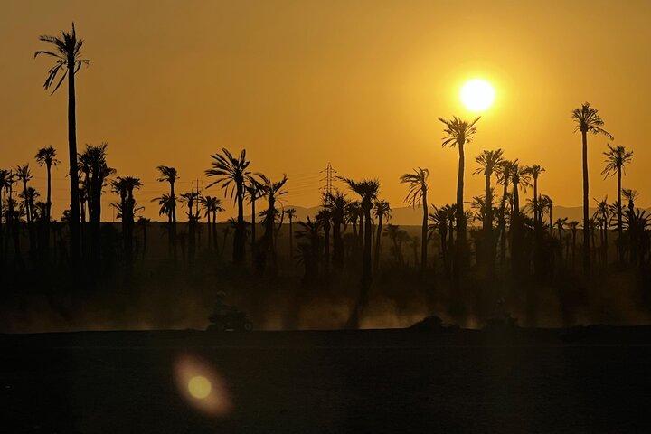 Marrakech Quad & Buggy: Quad Tour