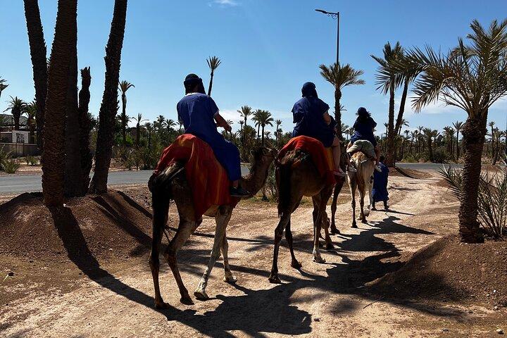 Marrakech Quad & Buggy: Quad Tour