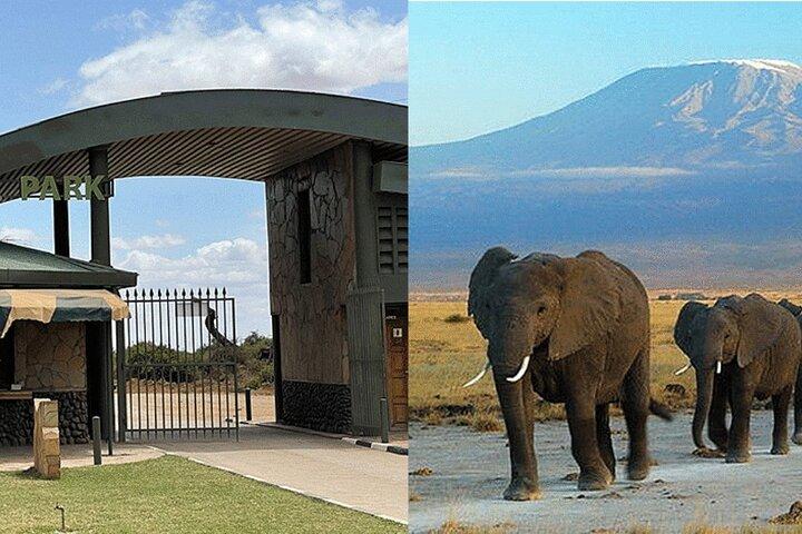 Amboseli National Park Day tour; Free Wifi Connection