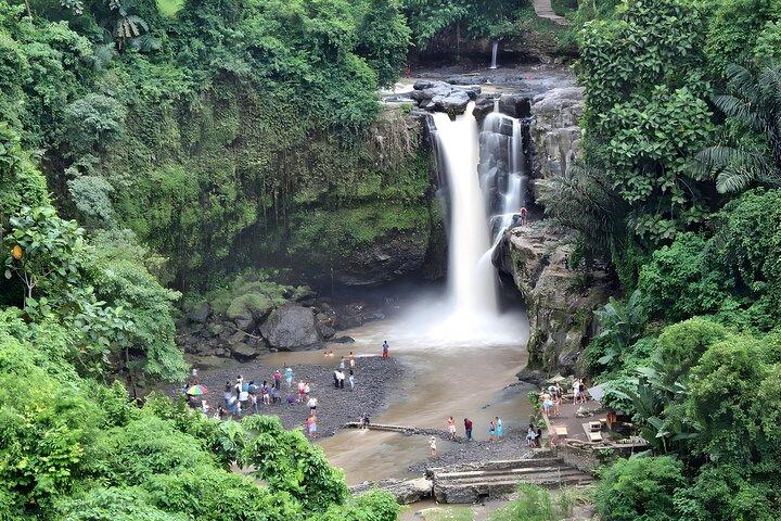 Ubud Village, Waterfall and Kintamani Volcano Tour