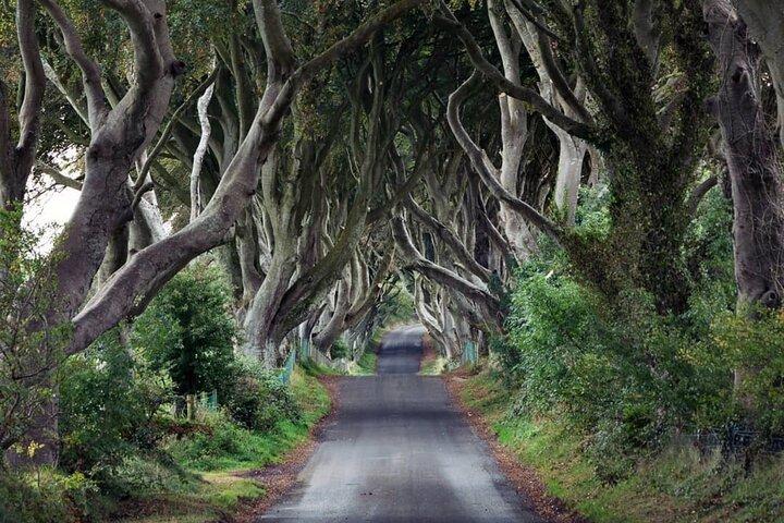 Private Giant's Causeway Tour including Game of Thrones Sites