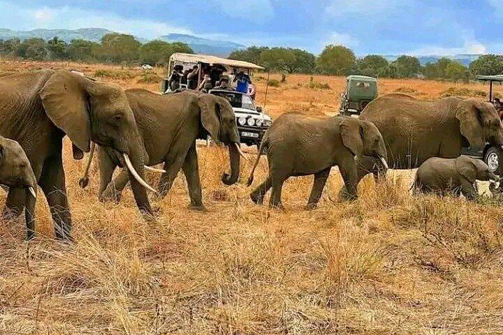 Day Trip Safari to Selous game reserve from Zanzibar