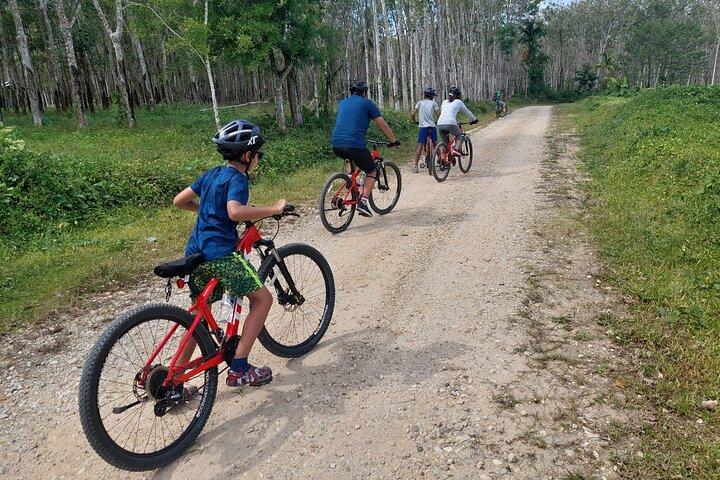 Half-Day Phuket's Hidden Trails Biking Adventure Small-Group Tour