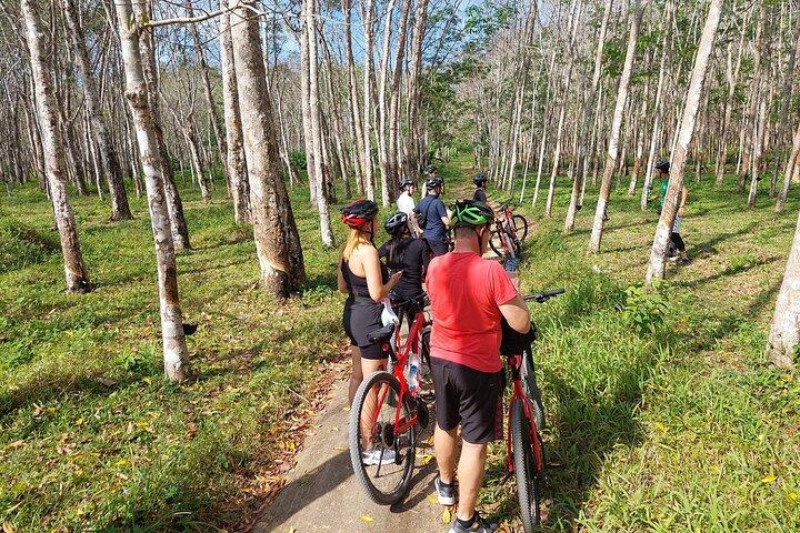 Half-Day Phuket's Hidden Trails Biking Adventure Small-Group Tour