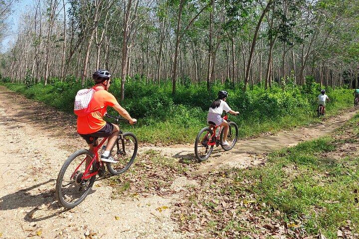 Half-Day Phuket's Hidden Trails Biking Adventure Small-Group Tour