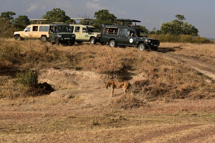 3 Days 2 Nights Maasai Mara Guided Safari Tour