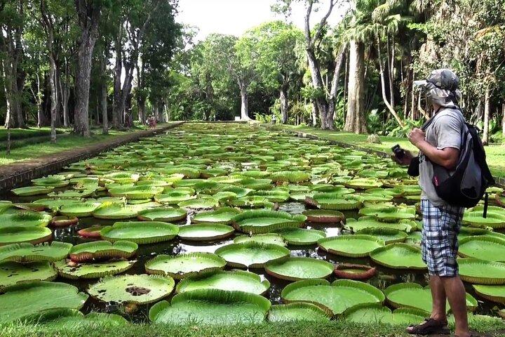 Tales of the North with Botanical Garden & L'Aventure du Sucre