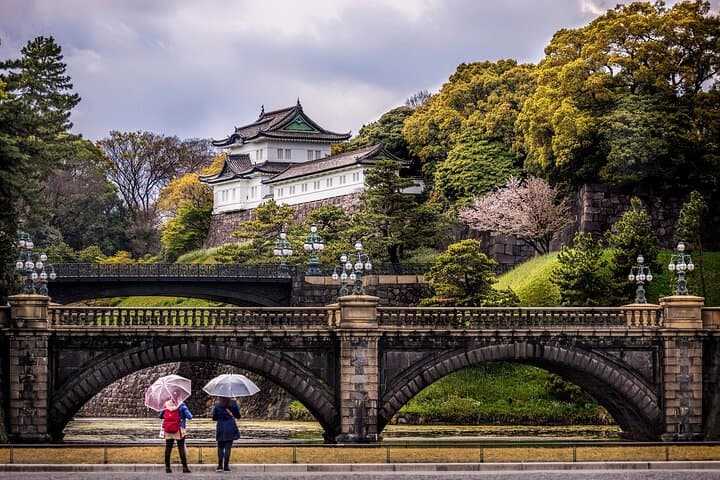 Tokyo Private Tour With Guide