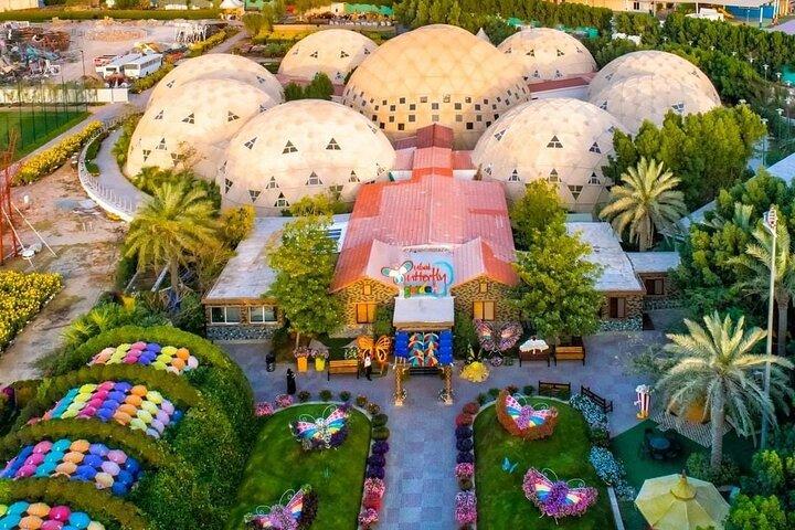 Dubai Butterfly Garden Tour with Optional Transportation Service
