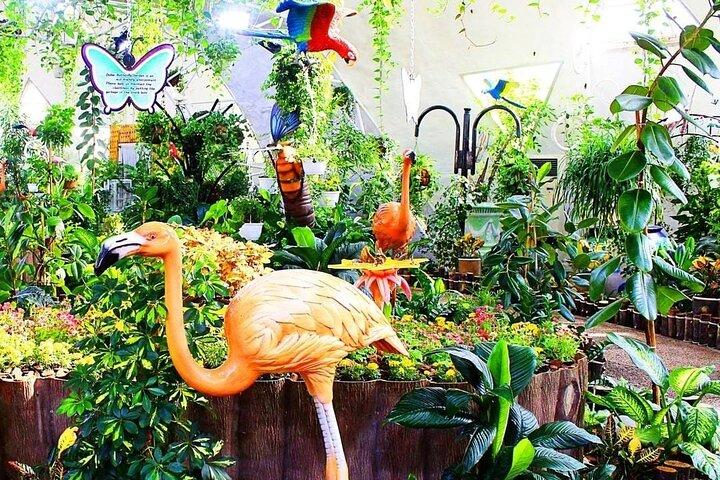 Dubai Butterfly Garden Tour with Optional Transportation Service