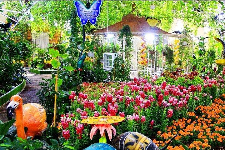 Dubai Butterfly Garden Tour with Optional Transportation Service