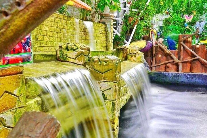 Dubai Butterfly Garden Tour with Optional Transportation Service