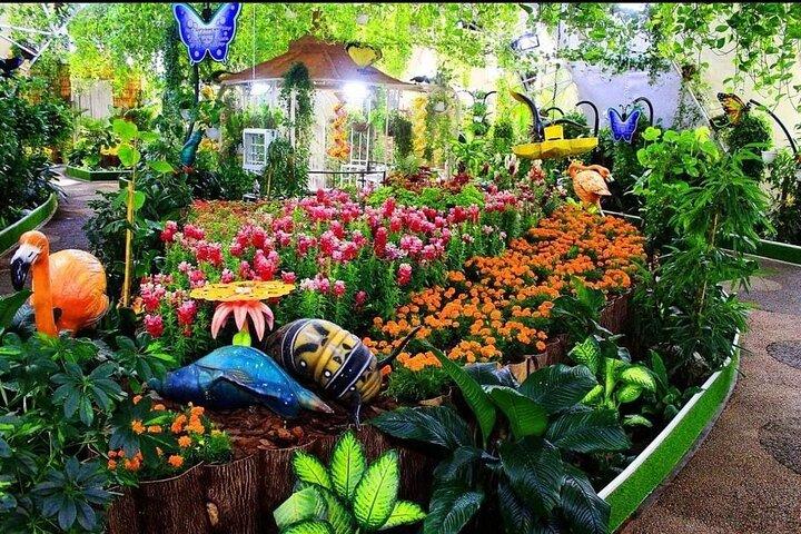 Dubai Butterfly Garden Tour with Optional Transportation Service