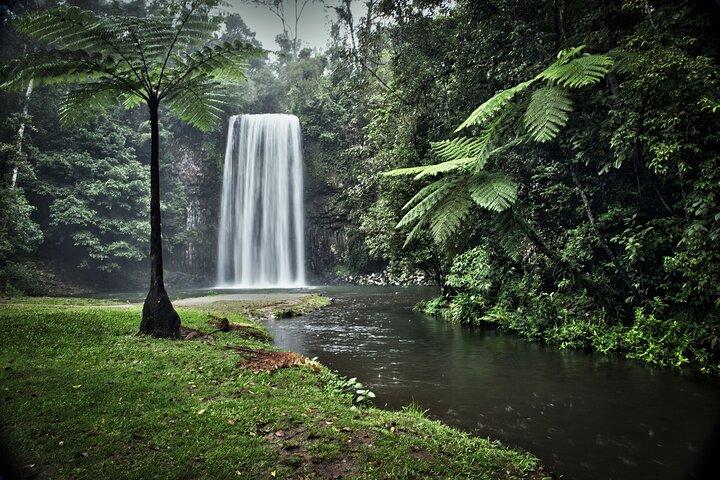 Full-day Tour at the Atherton Tablelands with Food Tasting