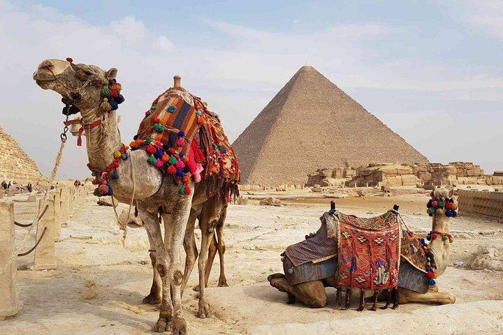 Giza Pyramids And old Egyptian Museum Tour from Alexandria Port