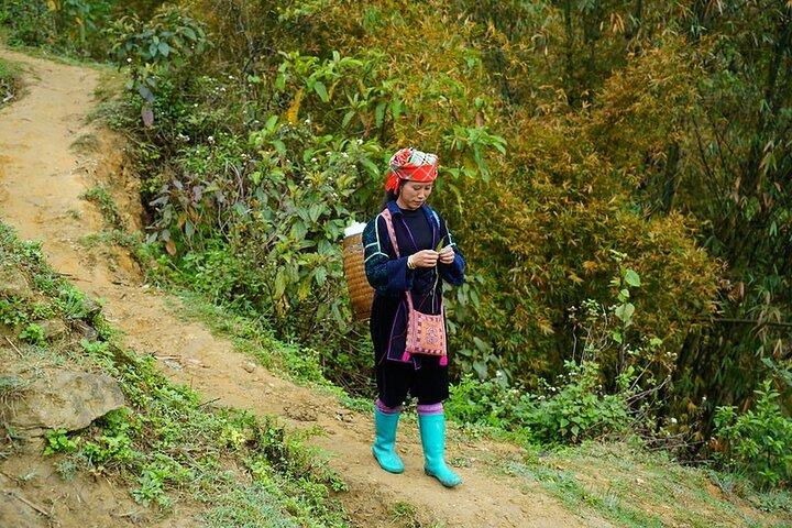 Overnight homestay in Sapa 2 days 1 night