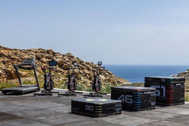 Exclusive Wellness Day Experience in Mykonos
