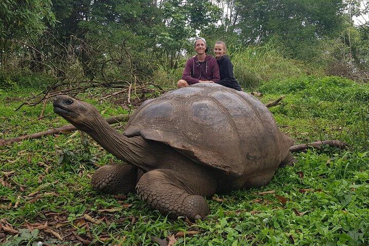 Santa Cruz Highland Tour: Giant Tortoises, Lava Tunnel & Gemelos