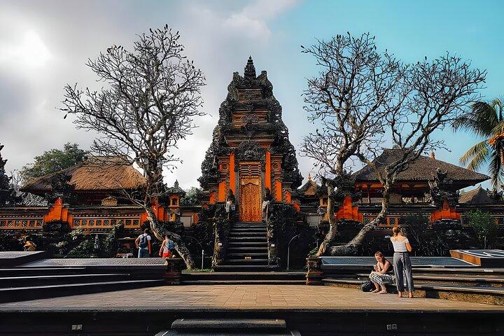 Amazing Bali Swing Experience with Ubud Full Day Tour