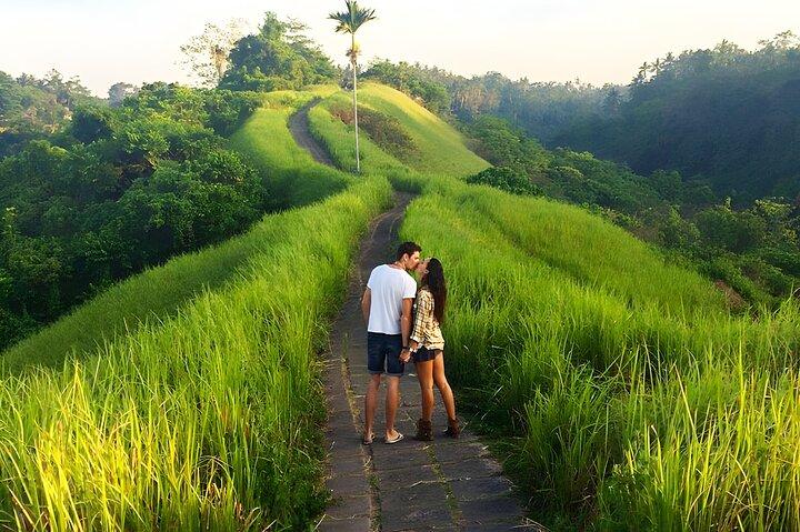 Bali Car-Charter: Half Day Ubud Village Tour