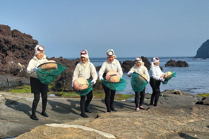 Private Full Day Tour World Natural Heritage & UNESCO in jeju