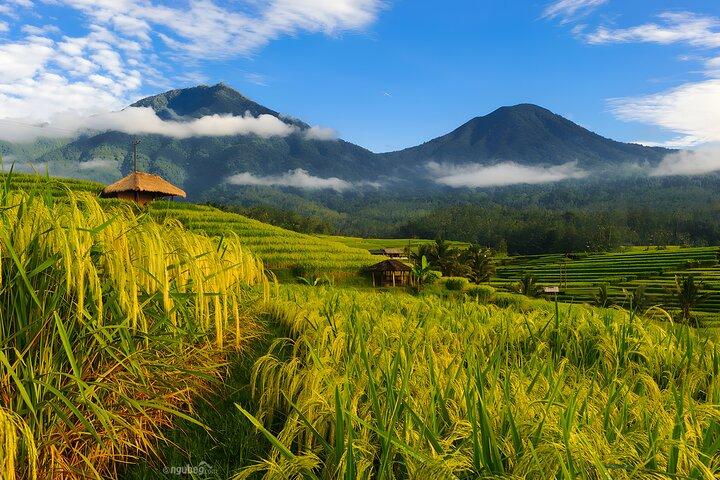 Private Full-Day Tour: Discover The Best of Bali Destination