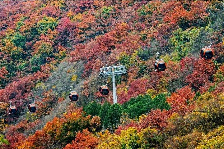 Beijing Great Wall Private Day Tour from Shanghai by Bullet Train