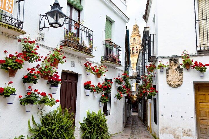 Cordoba Private Daytrip From Sevilla