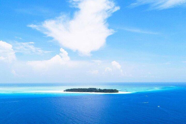 Mnemba Island, Jozani Forest Tour, The Rock, Salaam Cave Tour