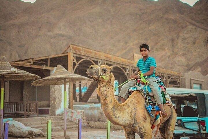 Jeep Safari in Salama Color Canyon & Dahab Tour from Sharm