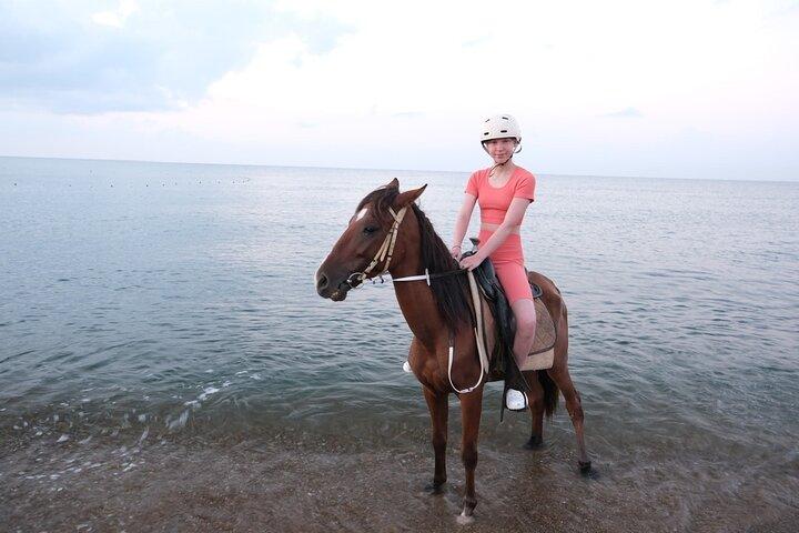 Horseback Riding on the Beach and through the Forest