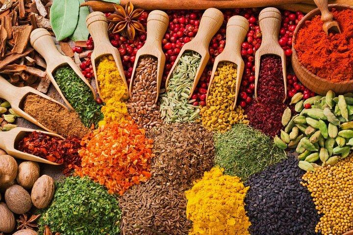 Mnemba Dolphin Tour, Cooking Class, Spice Tour, Horseback Riding
