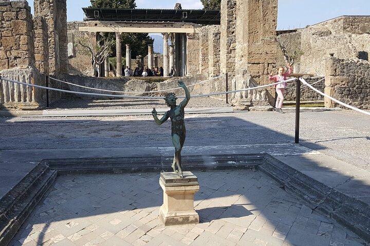 Skip the line Ancient Pompeii Private Guided Walking Tour
