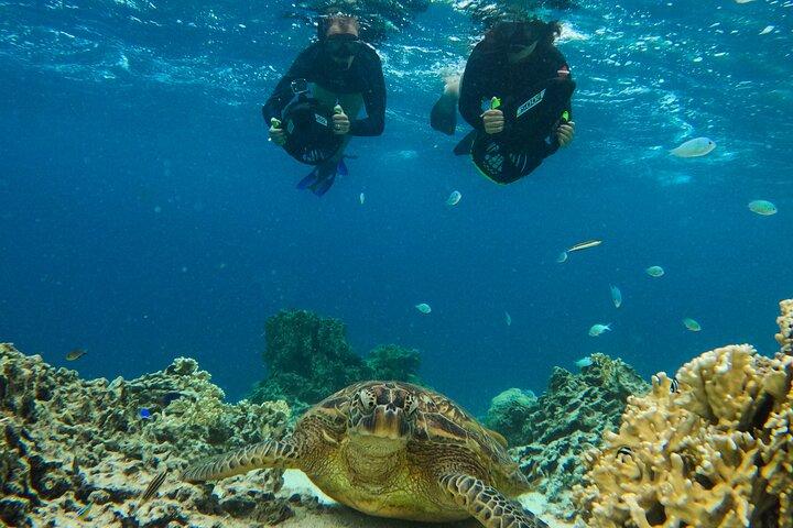 Eco Friendly Sea Scooter Turtle Tour in Rarotonga