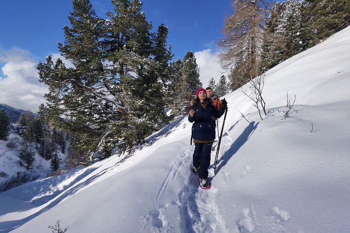 Dolomites of Bolzano Winter Hiking & Sledding Experience