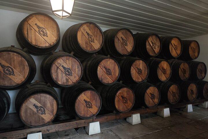 Azeitão Private Wine Tour from Lisbon – Premium Wineries