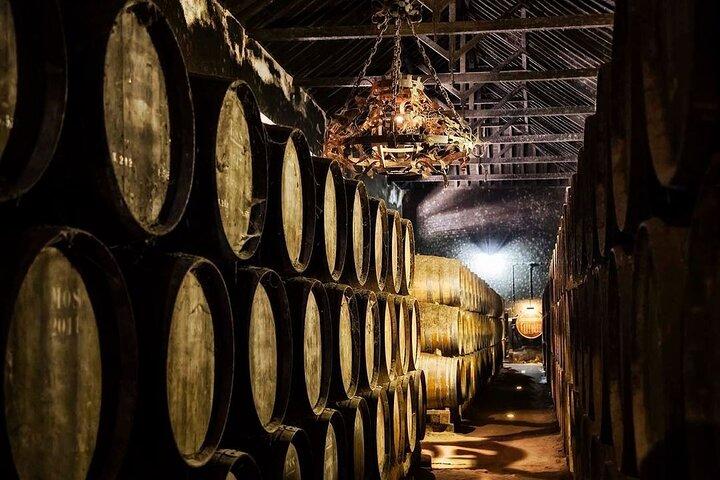 Azeitão Private Wine Tour from Lisbon – Premium Wineries