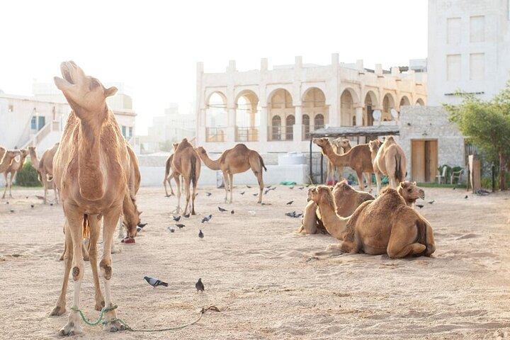 4-Hour Private Group City Tour in Doha, Qatar