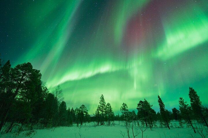 Northern Lights Hunt with The Green Adventure - photos included