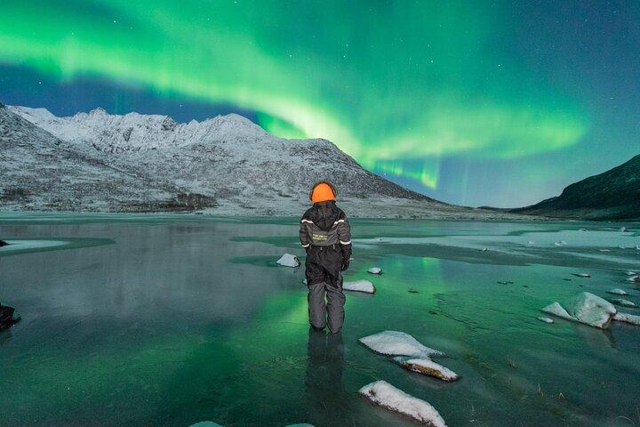 Northern Lights Hunt with The Green Adventure - photos included