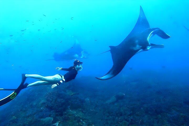 Bali Full-Day Tour to Exploring Nusa Penida Island with Snorkeling From Bali